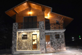 Bakuriani city cottage